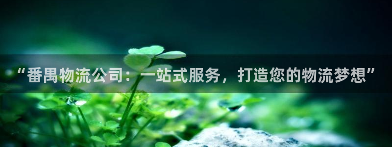 多多28预测：“番禺物流公司：一站式
