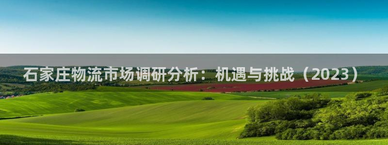 多多28忘记账号：石家庄物流市场调研