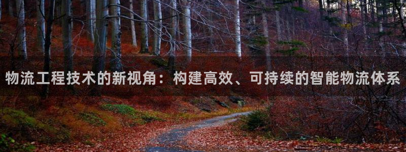 多多28软件总是闪退怎么回事