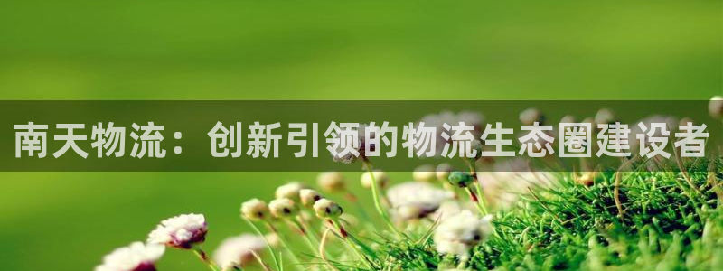 多多28如何退款