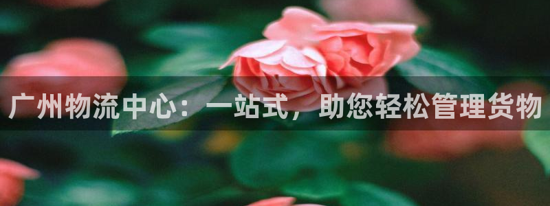 多多28是什么是赌博吗?：广州物流中