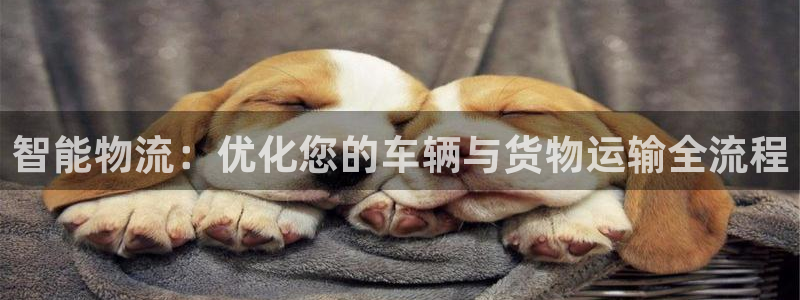 多多28充值