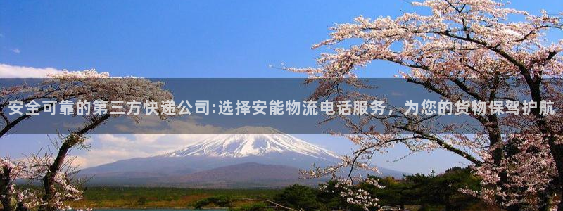 多多28官网下载多少钱一个：安全可靠的第三方快递公司:选择安