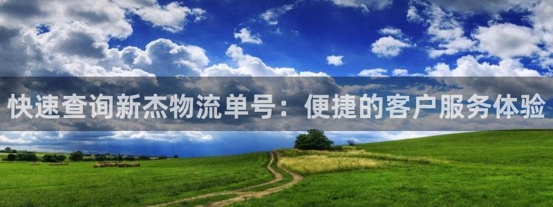 多多28加拿大是什么