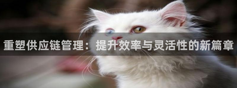 多多28软件