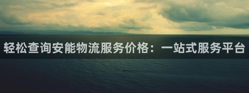 多多28为什么打不开：轻松查询安能物