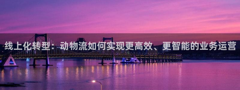 多多28登录：线上化转型：动物流如何