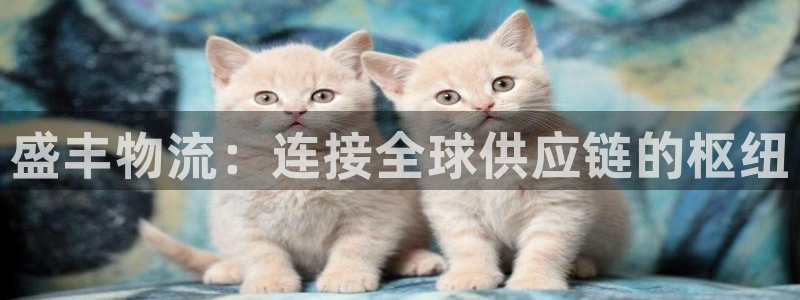 多多28软件堵什么反什么：盛丰物流：