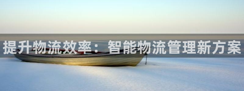 多多28官网下载加拿大：提升物流效率