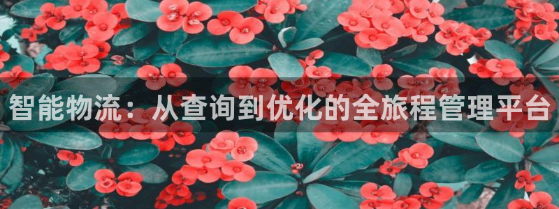 多多28网赌案件：智能物流：从查询到