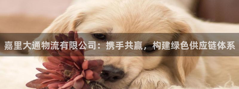 多多28p扣款什么意思