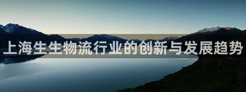 多多28二维码:上海生生物流行业的创