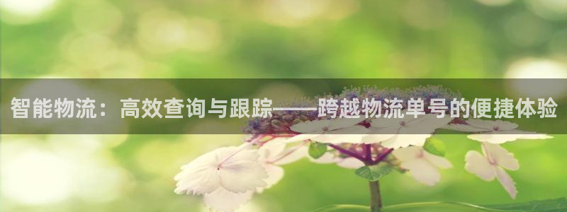 多多28注册网页:智能物流:高效查询