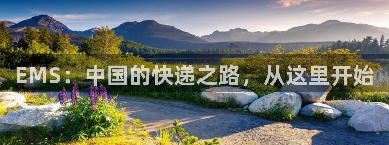 多多28下载二维码怎么弄