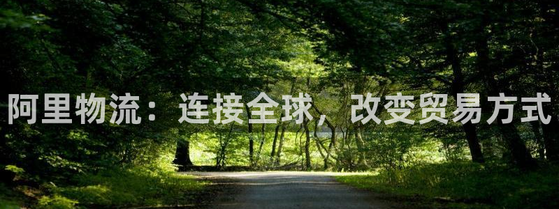 多多28黑不黑：阿里物流：连接全球，