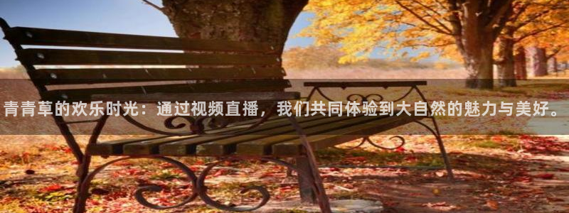 山猫体育直播五大联赛：青青草的欢乐时光：通过视频直播，我们共同体验到大自然的魅力与美好。