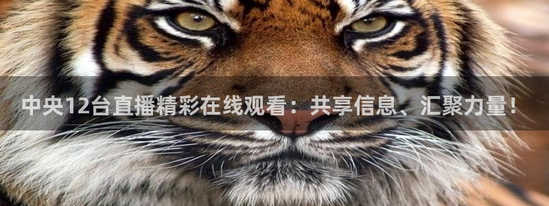 山猫体育赛事直播免费观看：中央12台直播精彩在线观看：共享信息、汇聚力量！