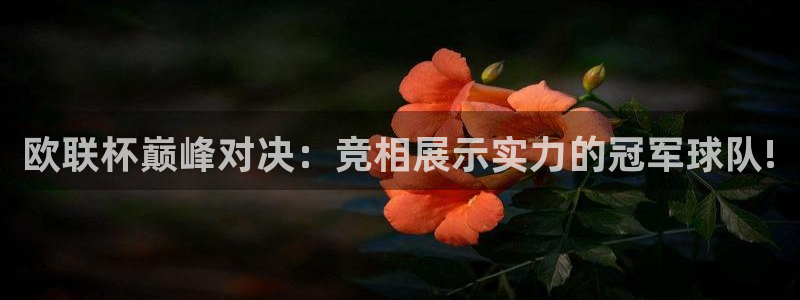 山猫免费体育赛事在线观看：欧联杯巅峰对决：竞相展示实力的冠军球队!