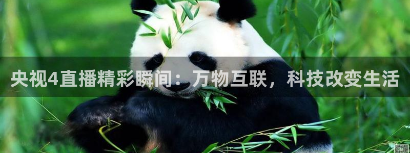 山猫体育免费直播发展联盟：央视4直播精彩瞬间：万物互联，科技改变生活