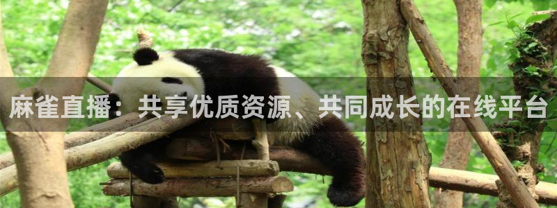 山猫体育直播在线观看免费：麻雀直播：共享优质资源、共同成长的在线平台
