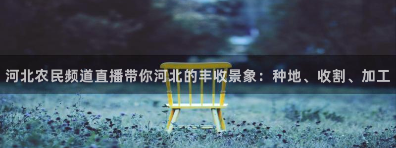 山猫足球直播间：河北农民频道直播带你河北的丰收景象：种地、收割、加工