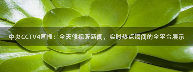 山猫直播直播：中央CCTV4直播：全天候视听新闻，实时热点瞬间的全平台展示