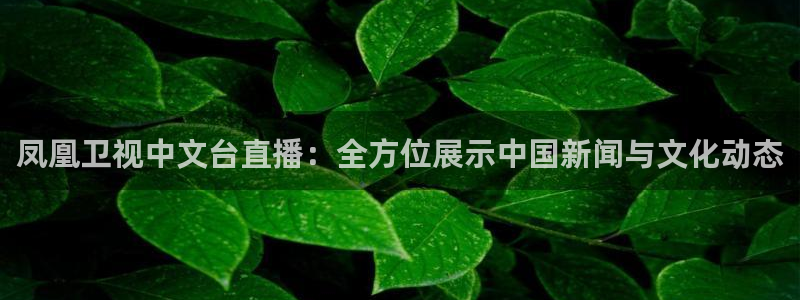 山猫体育免费直播新版.好游网.org：凤凰卫视中文台直播：全方位展示中国新闻与文化动态