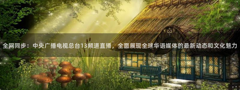 山猫直播篮球：全网同步：中央广播电视总台13频道直播，全面展现全球华语媒体的最新动态和文化魅力